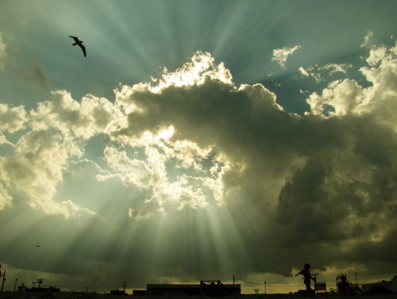 My daughter Lisa took this amazing picture in Ocean City, NJ.